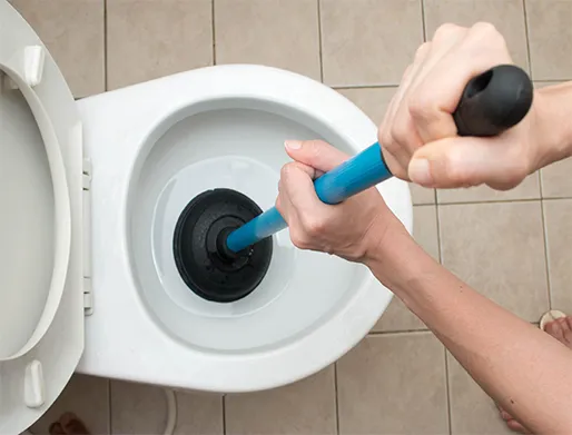Como Desentupir Vaso Sanitário em Boituva